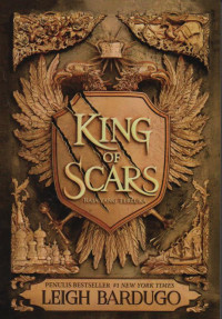 Image of King of scars : raja yang terluka