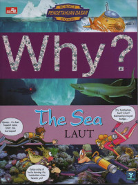 Image of Why? the sea = laut